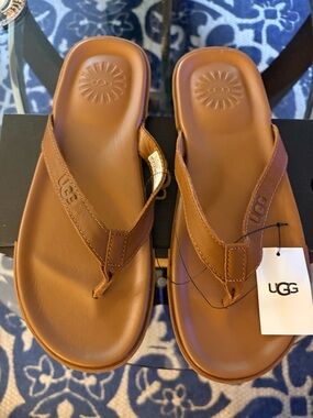 UGG Men's Chestnut Brown Leather Thong Sandals